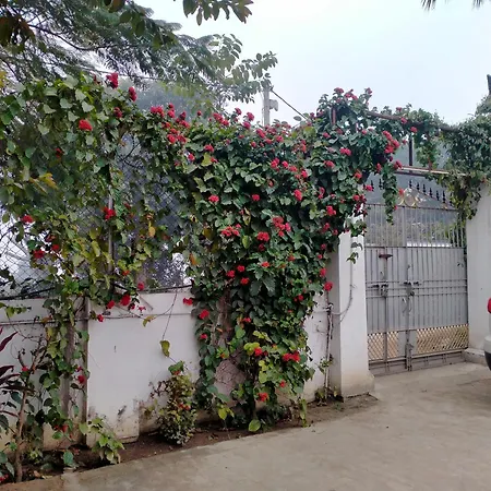Vedic Villa-2